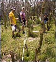 Arthropod survey on Kapapa