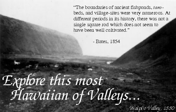 Waipi`o Valley, 1880