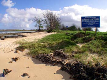 Mokuauia landing