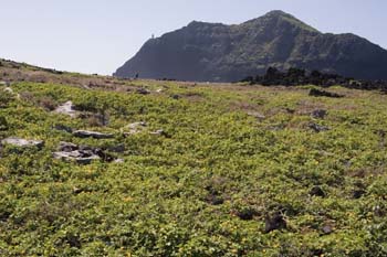 Islet with Makapuu i#1D81AE