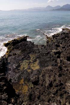 Tidal pools