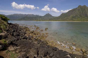 View towards Kualoa Park