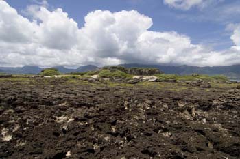 Islet view