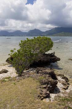 Looking towards Kaneohe Bay