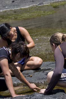 Checking tide pools