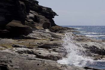 Rocky coastline