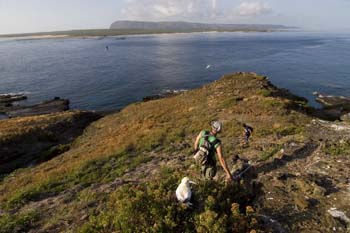 Setting up transects