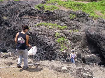 transect over rocks